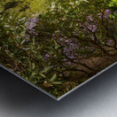 Azaleas and Rhododendron trees surround stream in spring Impression metal