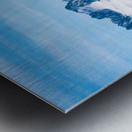 Majestic mountains of Thompson Pass rise over trees Metal print