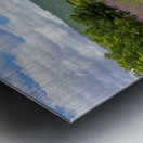 Lavender plants in blossom in early July with building Metal print