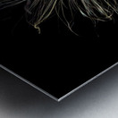 Macro photo of swamp milkweed seed pod Impression metal