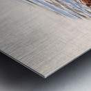 Digital watercolor of Sea Otter floating in the sea Metal print