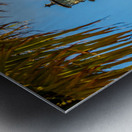 Cape Florida lighthouse in Bill Baggs State Park Impression metal