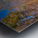 WMRR Steam train powers along railway Impression metal