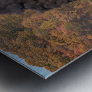 WMRR Steam train powers along railway Metal print