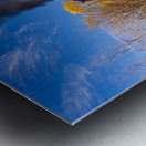 WMRR Steam train powers along railway Metal print