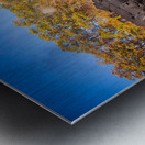 WMRR Steam train powers along railway Metal print