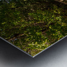 Florida Keys raised walkway  Metal print