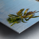 Florida Keys rail bridge and heritage trail Metal print