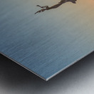 Mermaid statue entrance Ventura harbor Metal print