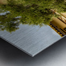 Cloudy day at Santa Ines Mission California Metal print