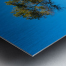 Serra Cross in Ventura California between trees Metal print