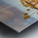 Expensive homes and boats ventura Metal print