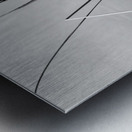 Empty bed of reeds in Everglades Florida Metal print