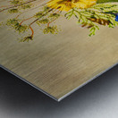 Arrangement of dried pressed flowers Metal print