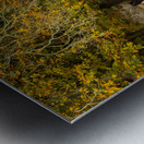 Seat overlooking deep ford in Shilton Oxford Metal print