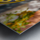 Reflections in Polly Gas pump Impression metal