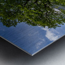 Tree with Langdale Pikes in Lake District Metal print