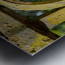 Dew glistening cobweb on gate Impression metal