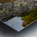 Sun and Fun swimming sign by Silver Lake Vermont Metal print