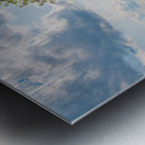 Statue of Jesus at Port Tobacco Maryland Metal print