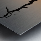 Gnarled tree on Skyline drive in Virginia Metal print