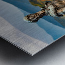 Mountaineer statue from WVU with fall leaves in West Virginia Metal print