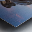 Captain on the Helm statue in Chicago Metal print