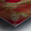 Close up of red rose bouquet with roses Impression metal