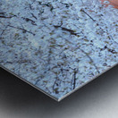 Cherry blossoms and Washington FDR monument Metal print