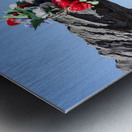 Partisans Statue in Boston MA Metal print