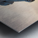 Martin Luther King Monument DC Metal print