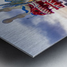 Carved head of dragon canoe Metal print