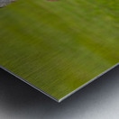 Pair of nene geese Metal print