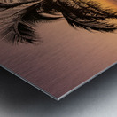 Sunrise in Kauai from Princeville Metal print