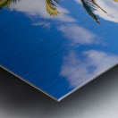 Sealodge and anini beach in Kauai Metal print