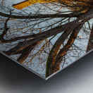 Old houses in Colonial Williamsburg Impression metal