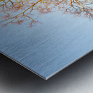 Old houses in Colonial Williamsburg Metal print