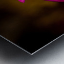 Christmas Cactus Flower  Metal print