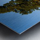 Large tree dominates small tree on hillside Metal print