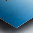 Statue of Stonewall Jackson at Manassas Impression metal