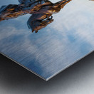 Statue of Stonewall Jackson Metal print