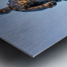 Statue of Stonewall Jackson Metal print