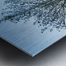 Old Stone House Manassas Battlefield Metal print