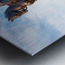 Statue of Stonewall Jackson Metal print