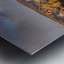 Dramatic rainbow over Waimea Canyon Metal print