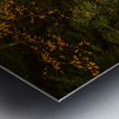 View down Deckers Creek near Masontown Metal print