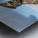 Statue of Ernest Shackleton pointing at Viking Jupiter ship in P Metal print