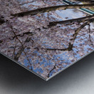 Ruby Amphitheater by walking trail  by the river in Morgantown W Metal print