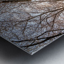 Jogger running on the bike walking trail over Deckers Creek Morg Metal print