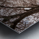 Steel girder bridge carries the bike walking trail over Deckers  Metal print